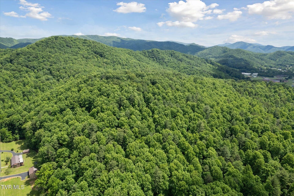 Photo #33: Tbd Rich Hollow Road