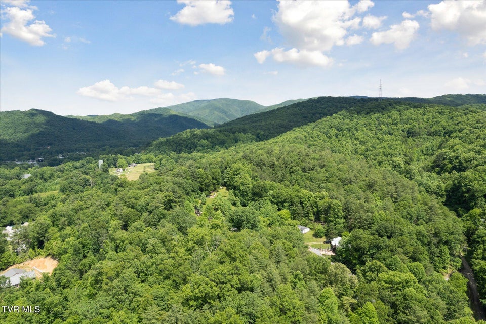 Photo #38: Tbd Rich Hollow Road