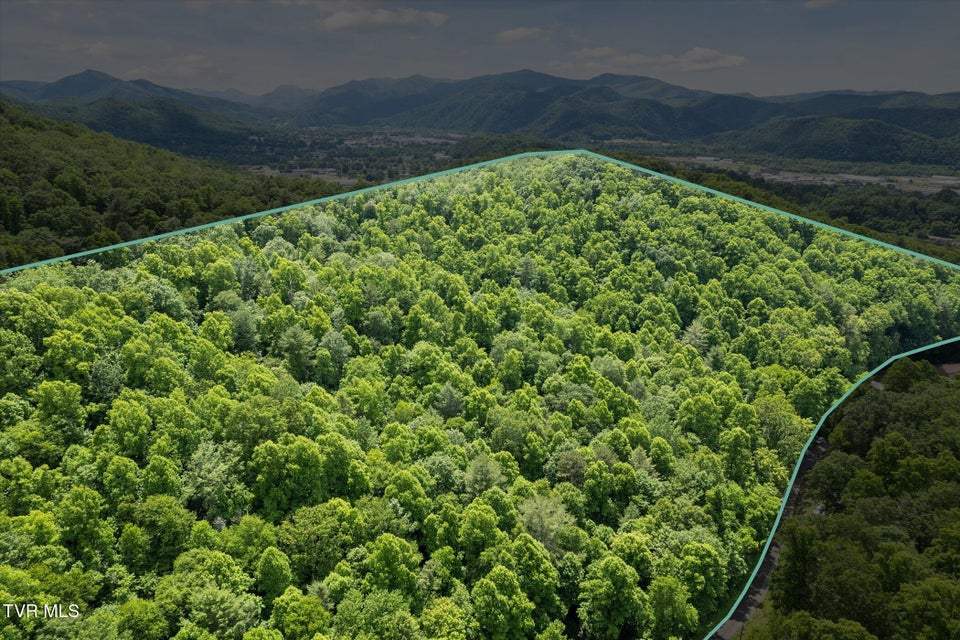Photo #3: Tbd Rich Hollow Road