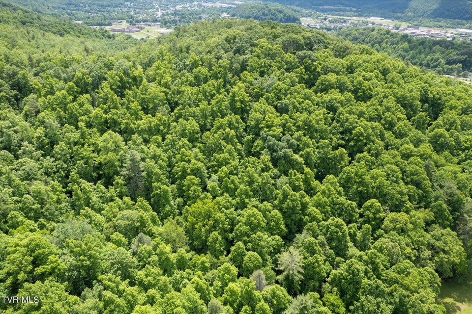 Photo #43: Tbd Rich Hollow Road