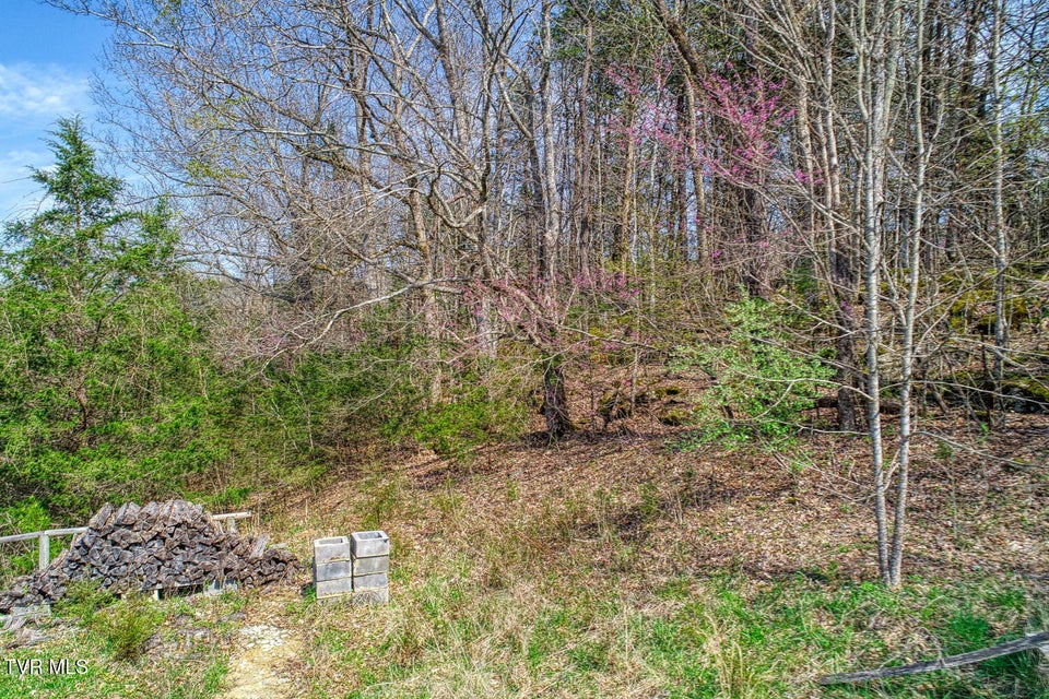 Photo #89: 951 Sweet Creek Road