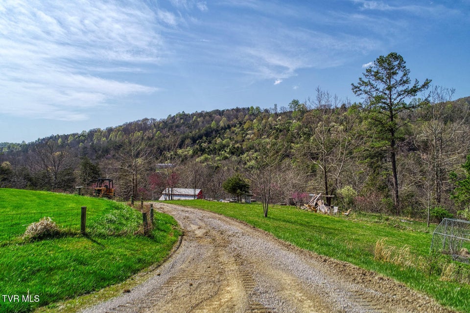 Photo #90: 951 Sweet Creek Road