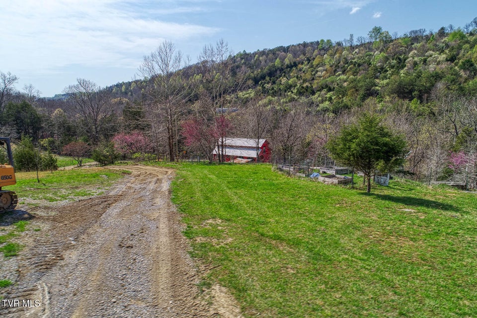 Photo #91: 951 Sweet Creek Road