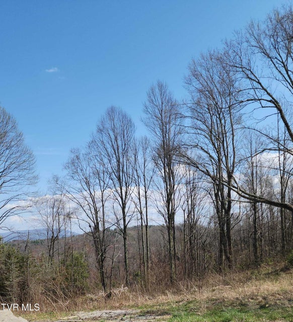 Photo #7: 000 Walnut Mountain Road