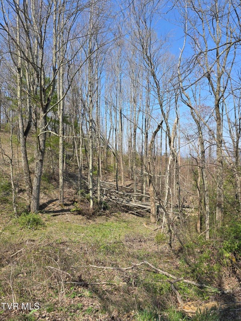 Photo #6: 000 Walnut Mountain Road