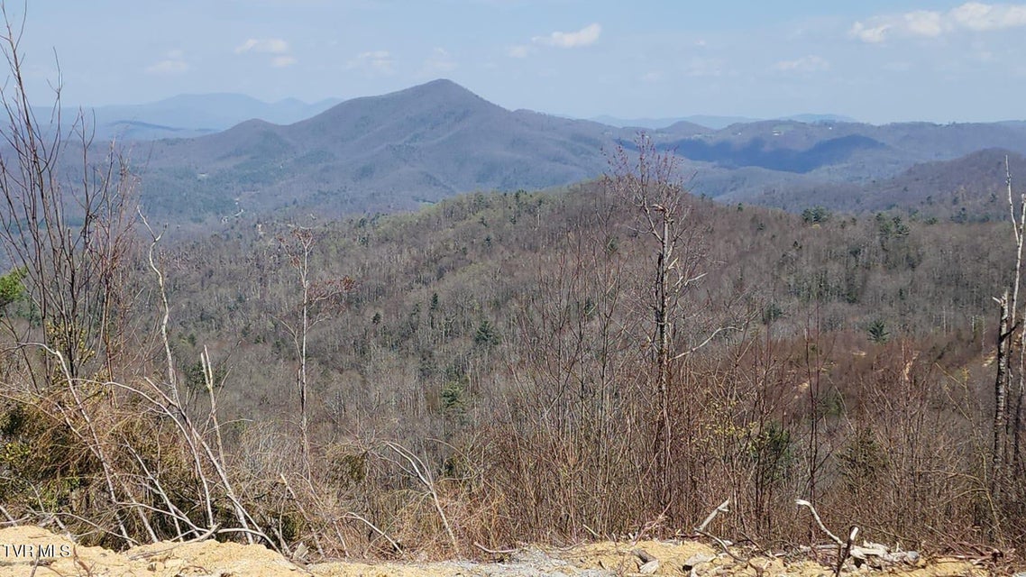 Photo #8: 000 Walnut Mountain Road
