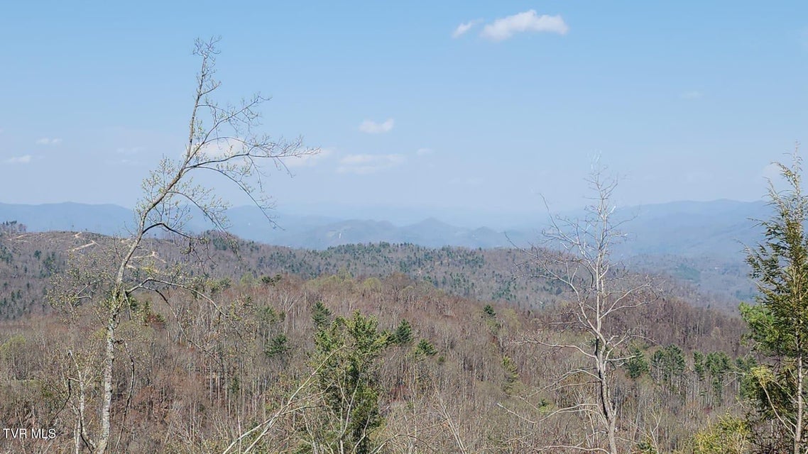 Photo #10: 000 Walnut Mountain Road
