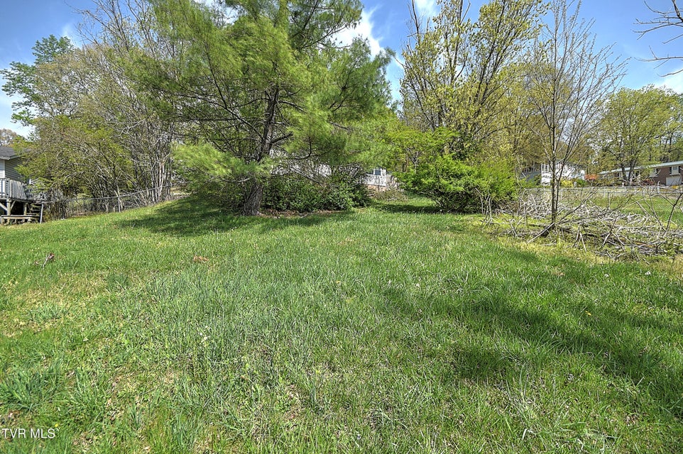 Photo #32: 136 Haywood Drive