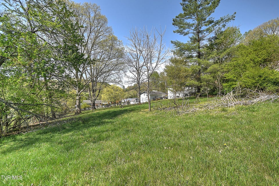 Photo #29: 136 Haywood Drive