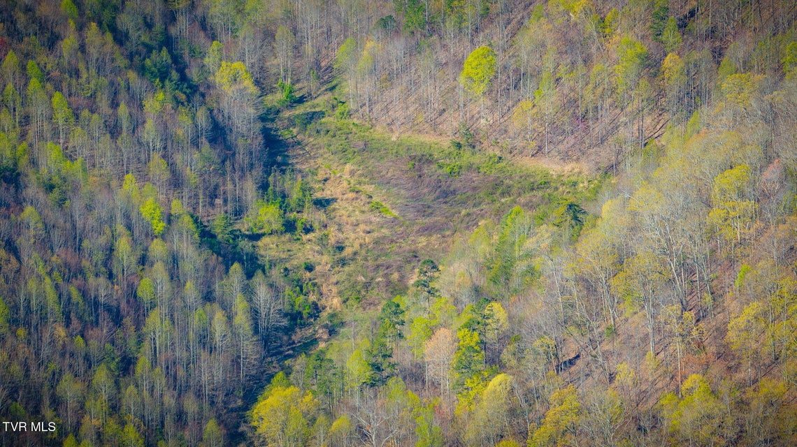 Photo #14: Tbd Stanley Valley Road