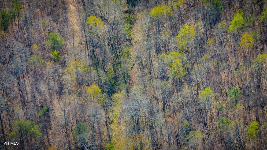 Photo #25: Tbd Stanley Valley Road