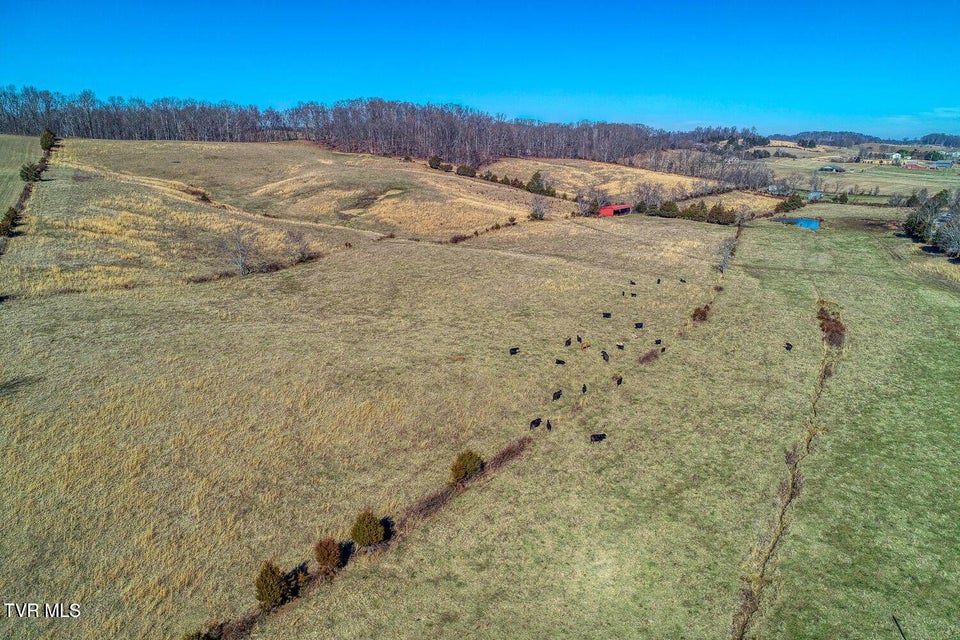 Photo #2: Tbd Old Snapps Ferry Road