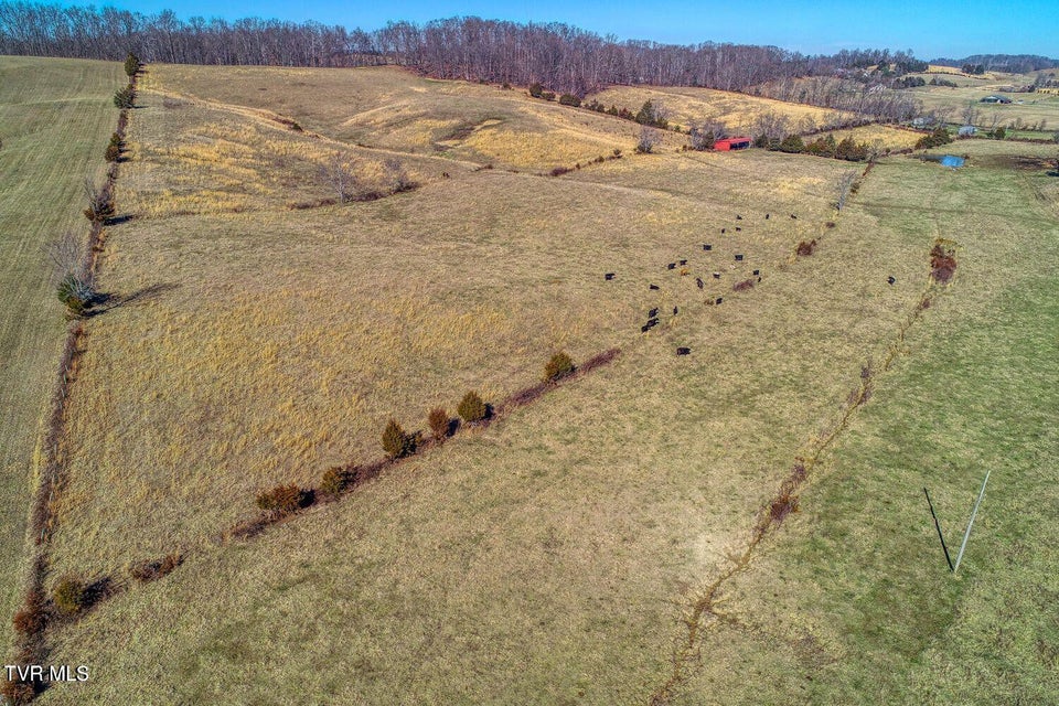 Photo #5: Tbd Old Snapps Ferry Road