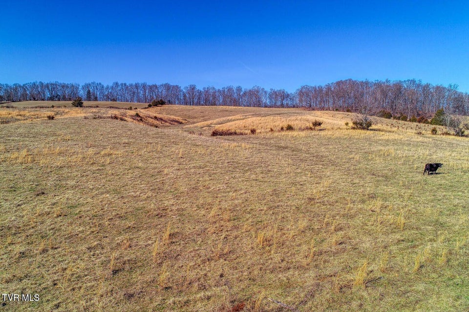 Photo #7: Tbd Old Snapps Ferry Road