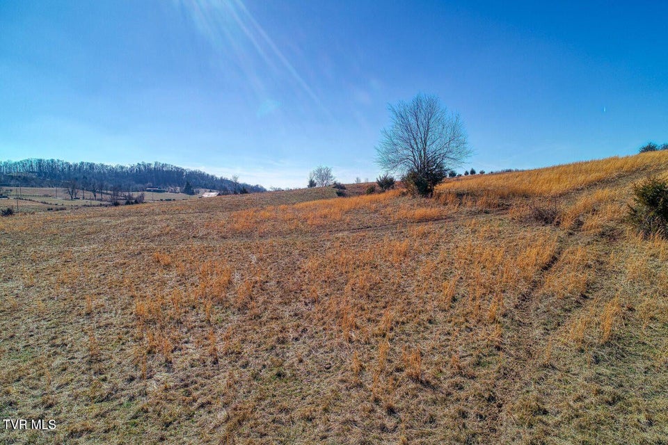 Photo #9: Tbd Old Snapps Ferry Road