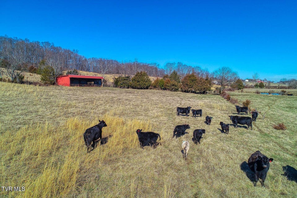 Photo #13: Tbd Old Snapps Ferry Road
