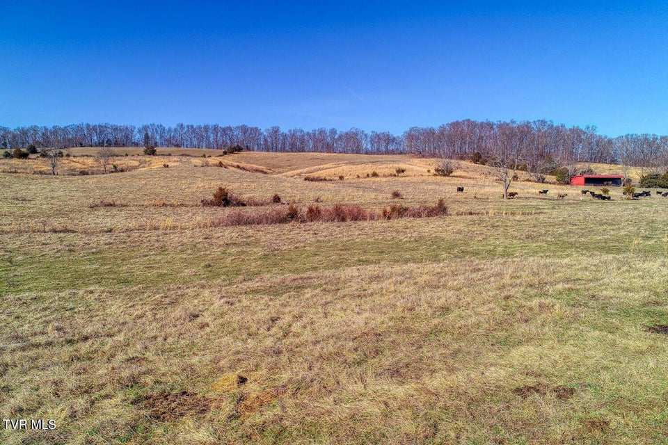 Photo #16: Tbd Old Snapps Ferry Road