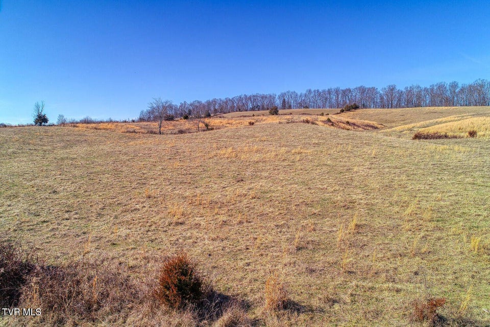 Photo #17: Tbd Old Snapps Ferry Road