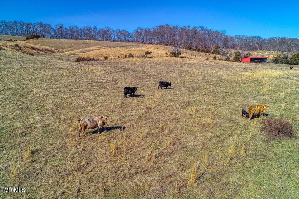 Photo #24: Tbd Old Snapps Ferry Road