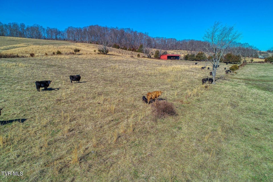 Photo #25: Tbd Old Snapps Ferry Road