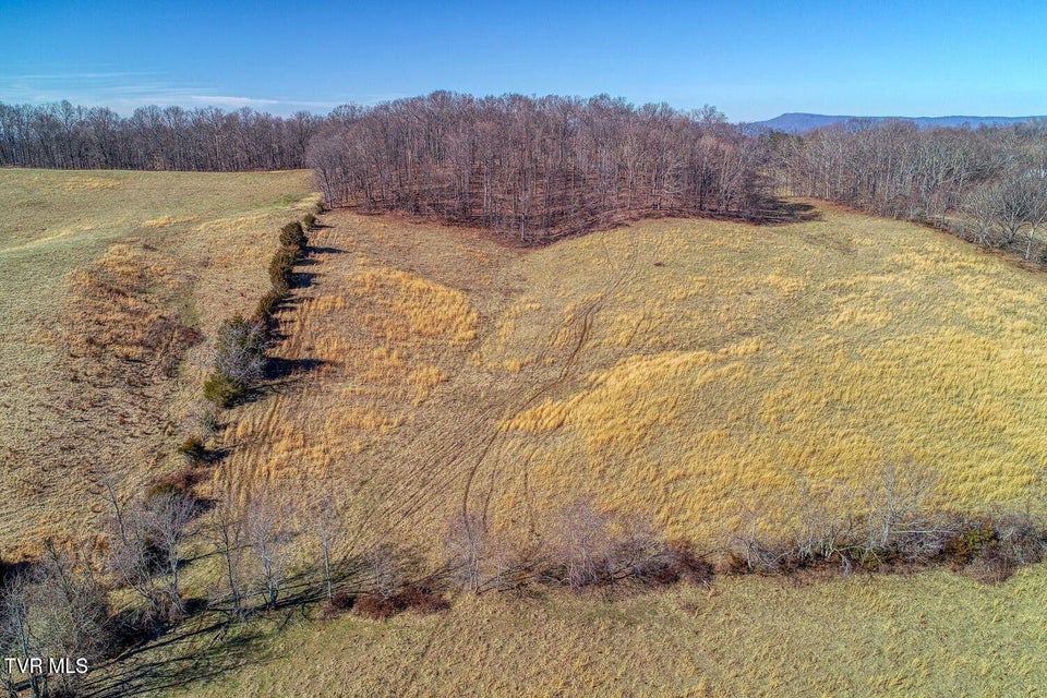 Photo #29: Tbd Old Snapps Ferry Road