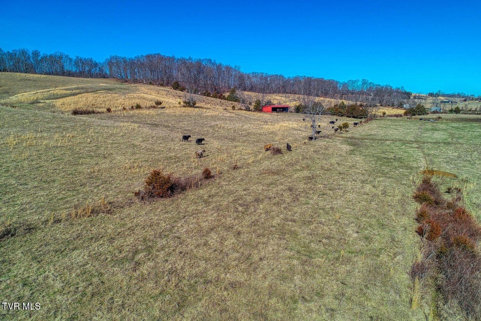 Photo #33: Tbd Old Snapps Ferry Road