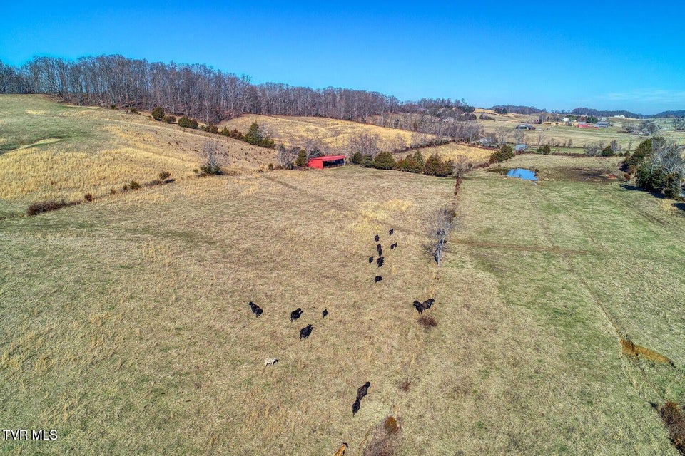 Photo #36: Tbd Old Snapps Ferry Road