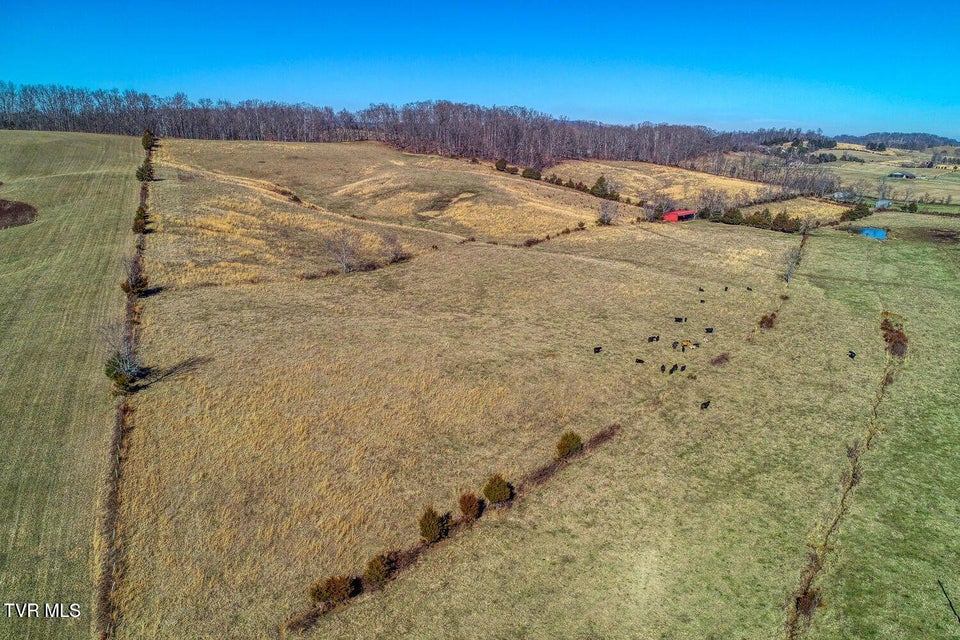 Photo #43: Tbd Old Snapps Ferry Road