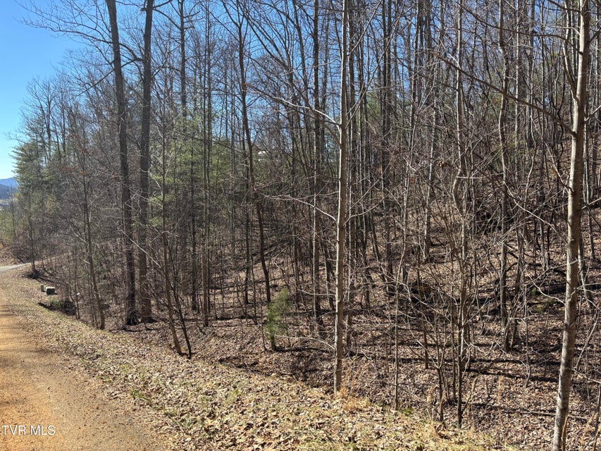 Photo #4: 36b Of Roan Creek Road