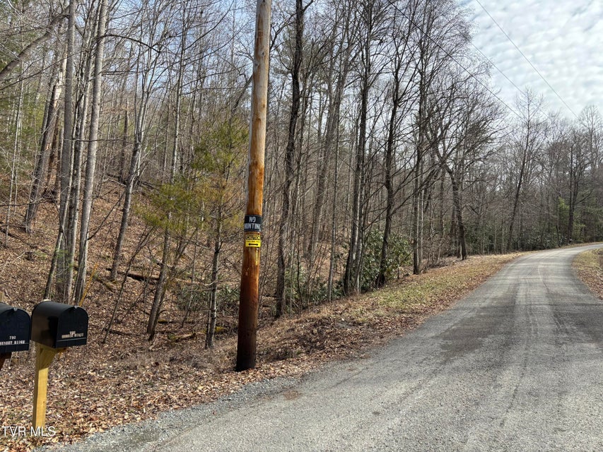 Photo #5: 36b Of Roan Creek Road