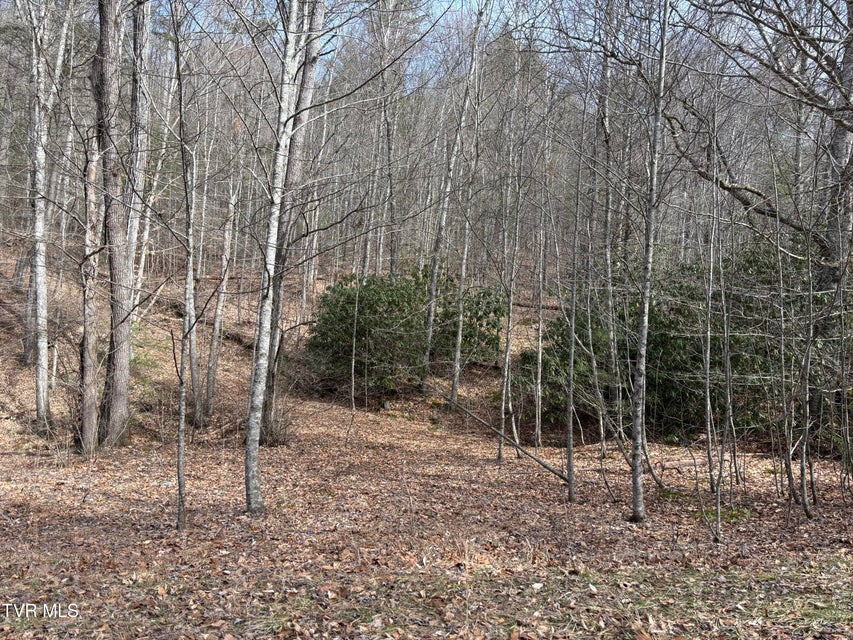 Photo #6: 36b Of Roan Creek Road