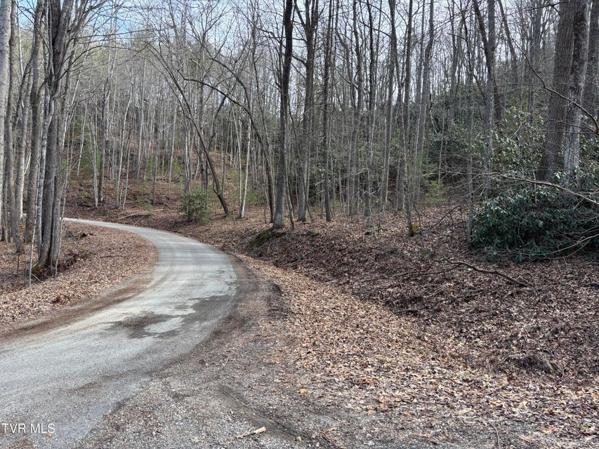 Photo #9: 36b Of Roan Creek Road