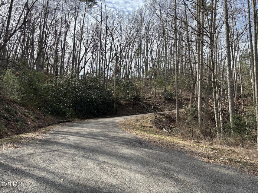 Photo #11: 36b Of Roan Creek Road