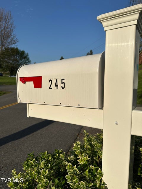 Photo #96: 245 De Lee Drive