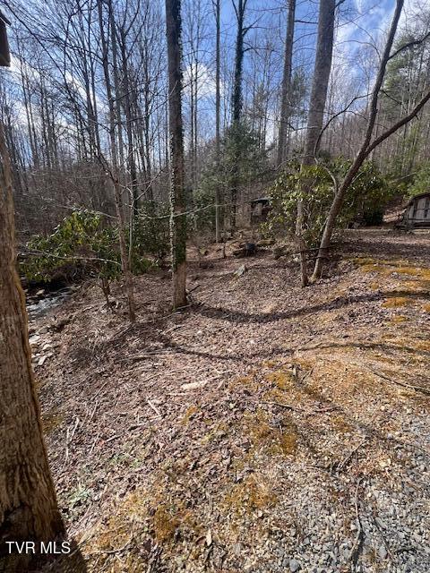 Photo #10: 200 Little Bald Creek Road