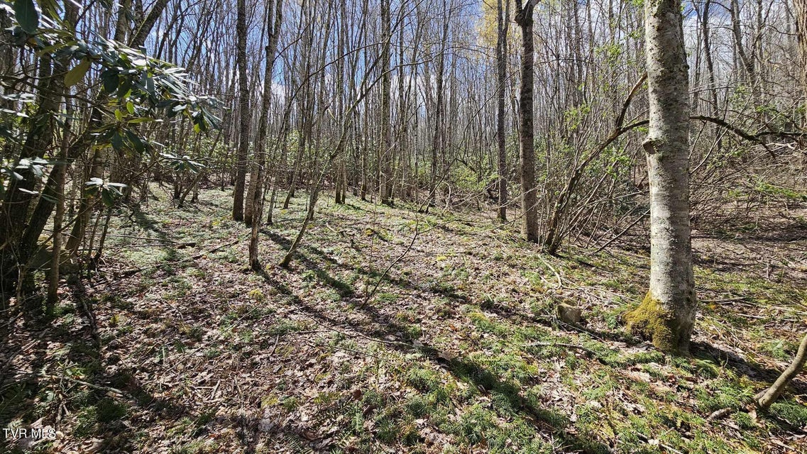 Photo #7: 4183 Stone Mountain Road