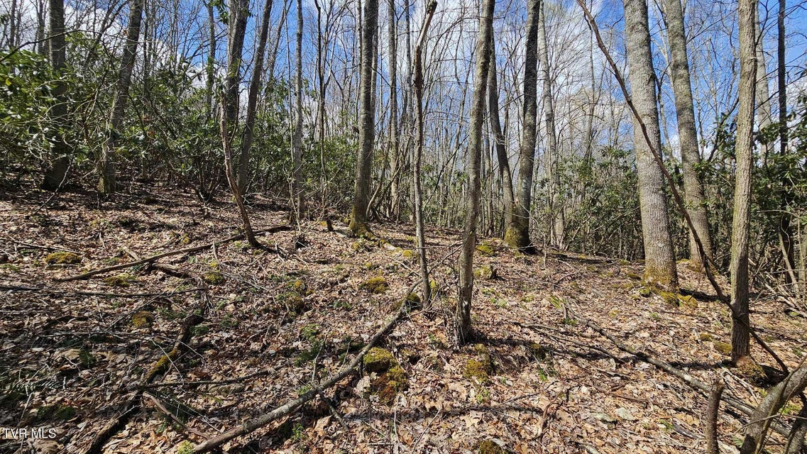 Photo #9: 4183 Stone Mountain Road