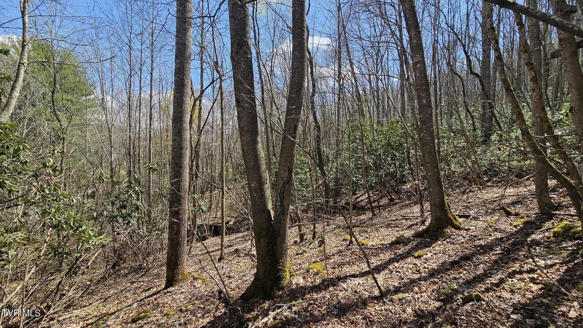 Photo #11: 4183 Stone Mountain Road