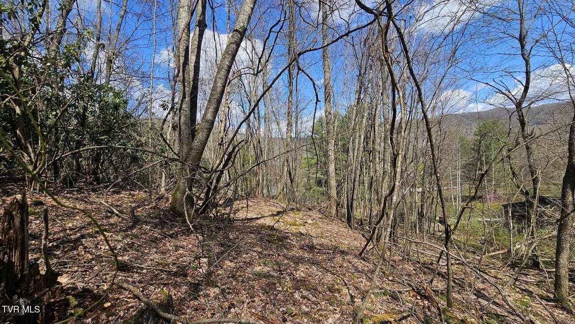 Photo #12: 4183 Stone Mountain Road