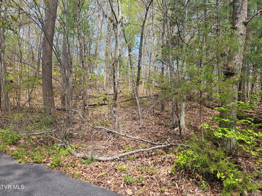 Photo #2: 0 Arnold Palmer Dr