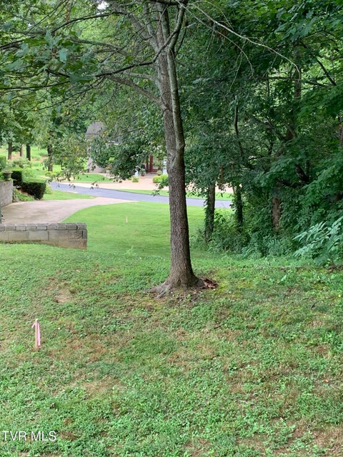 Photo #3: 0 Arnold Palmer Dr