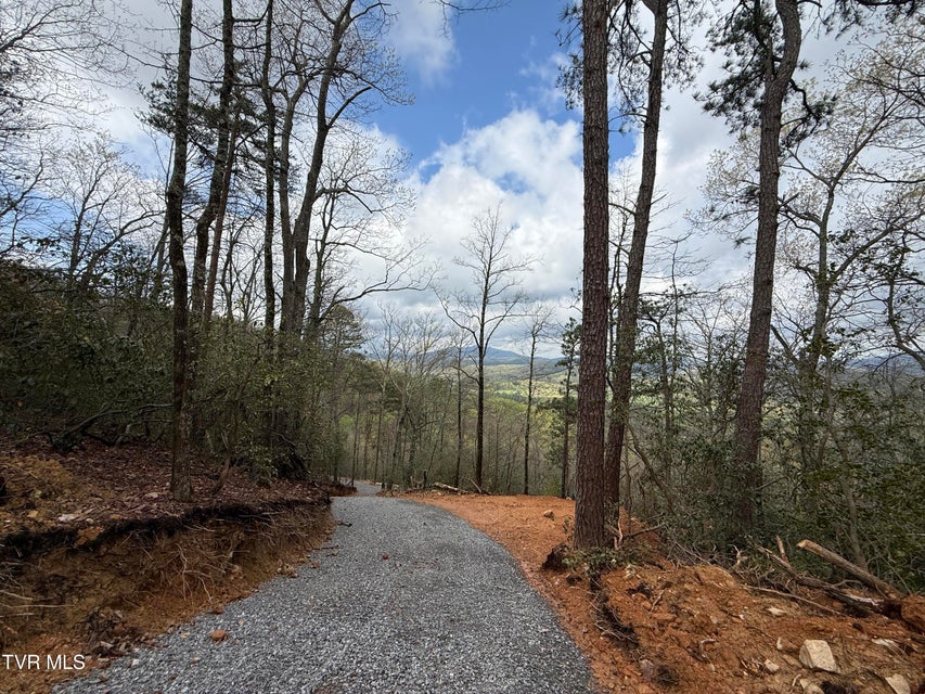 Photo #3: 3.93 Acres Green Forest Road