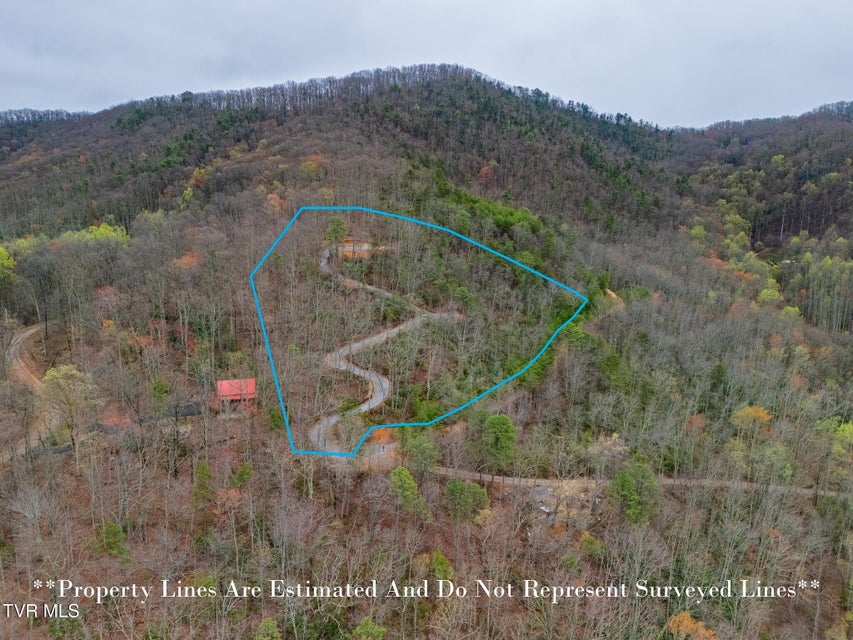 Photo #4: 3.93 Acres Green Forest Road