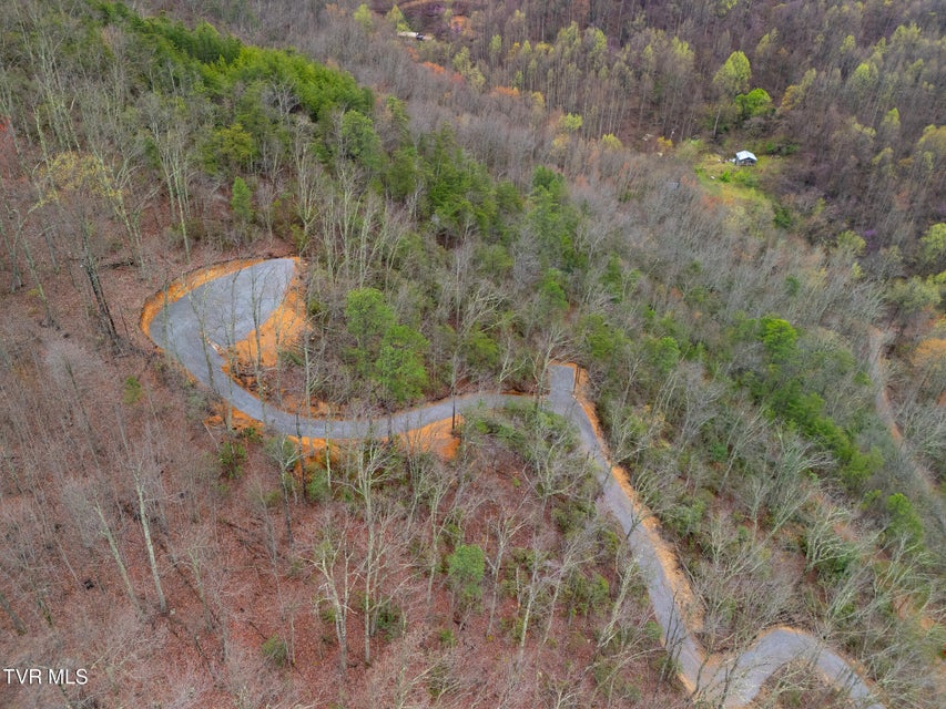 Photo #6: 3.93 Acres Green Forest Road