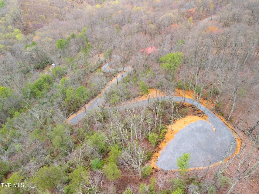 Photo #7: 3.93 Acres Green Forest Road