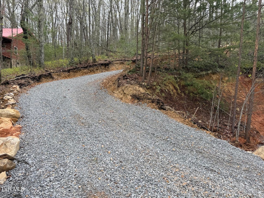 Photo #8: 3.93 Acres Green Forest Road