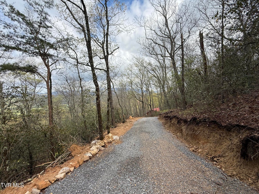 Photo #9: 3.93 Acres Green Forest Road