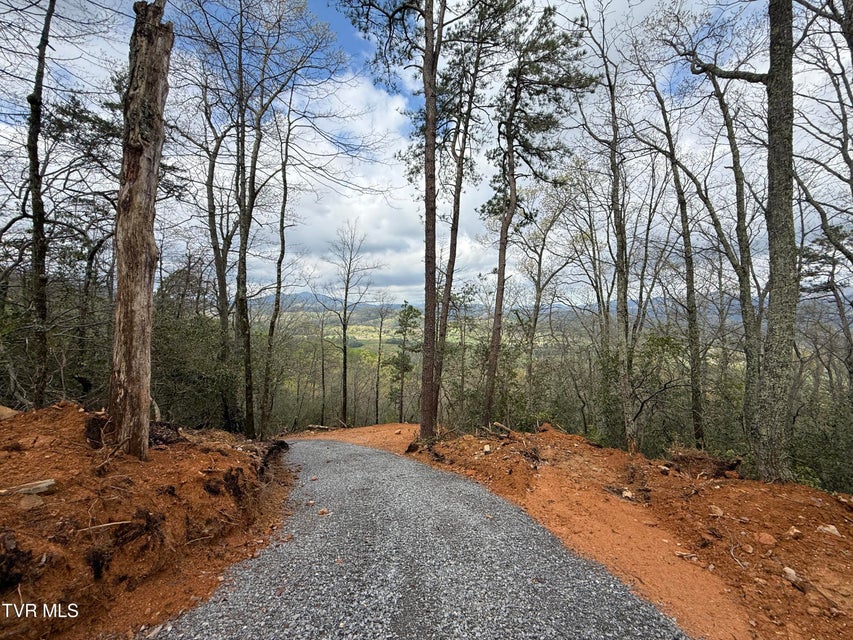 Photo #10: 3.93 Acres Green Forest Road
