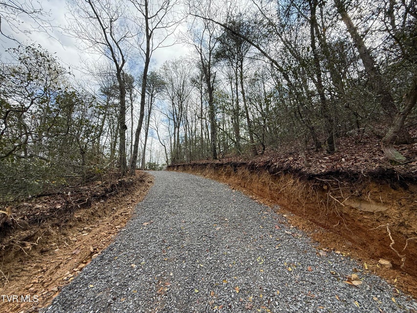 Photo #11: 3.93 Acres Green Forest Road