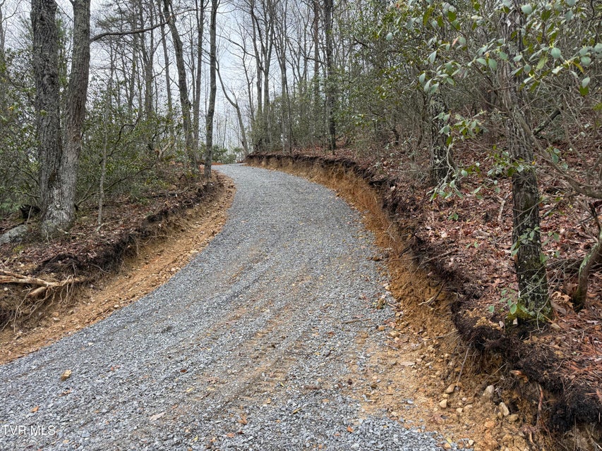 Photo #13: 3.93 Acres Green Forest Road